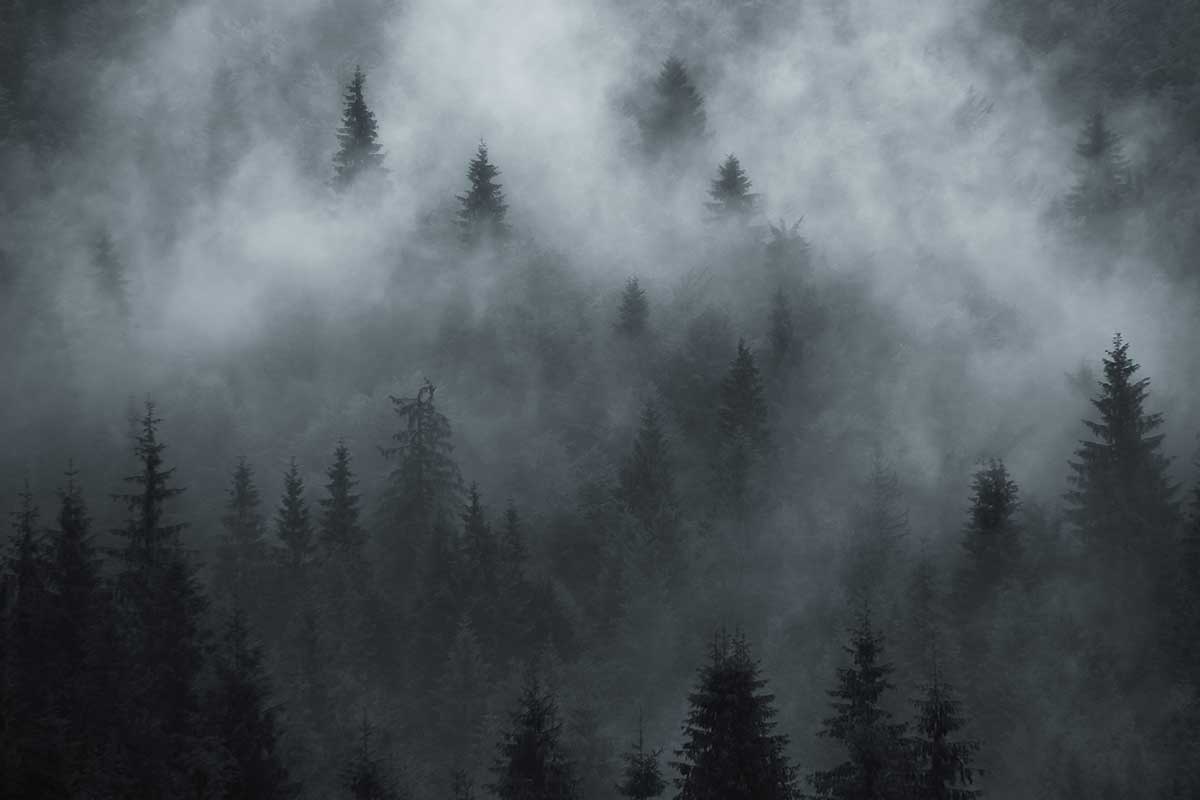 Flying in Fog: Can your travel program weather turbulence?