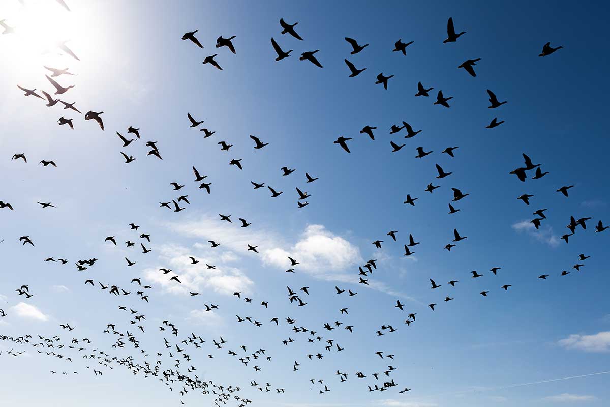 The fight for freedom: How organizations successfully combat human trafficking