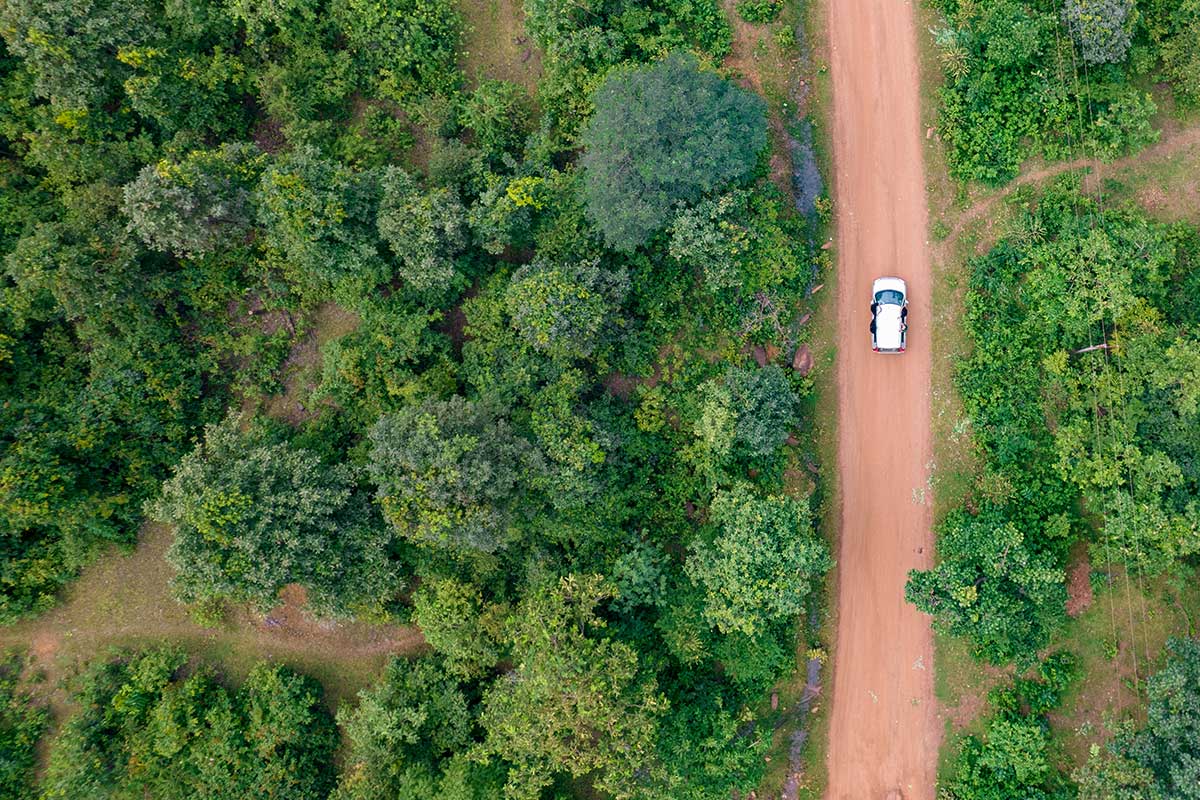 Building back better: 5 steps to a responsible travel program