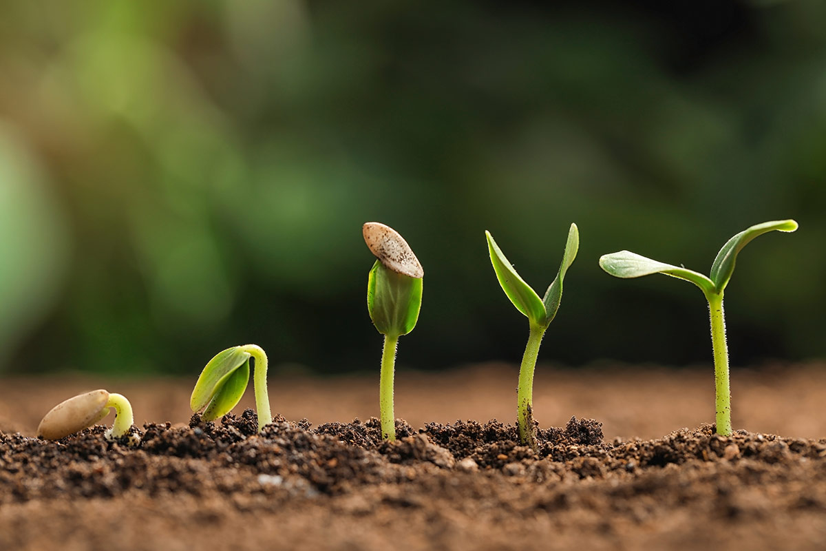 The evolution of Strategic Meetings Management to Total Meetings Management – A new approach