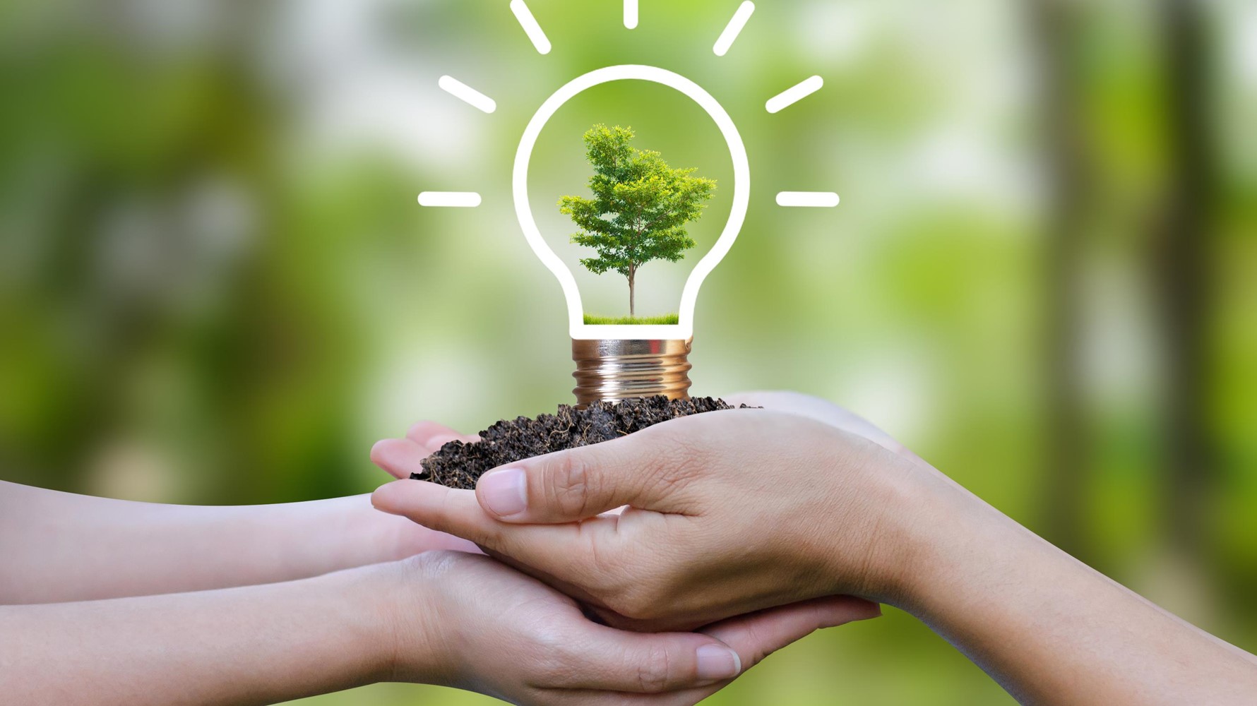6 steps to achieve more sustainable meetings & events