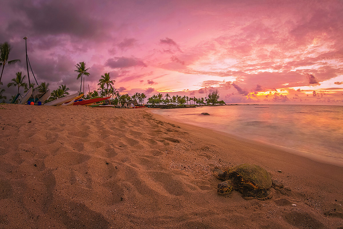 Big Island, Hawaii – Combine the power of nature with a powerful agenda for impactful events