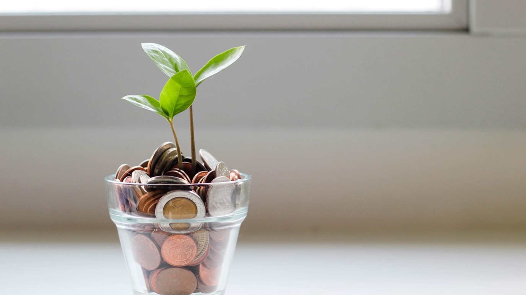 ESG: A compliance exercise or competitive advantage?