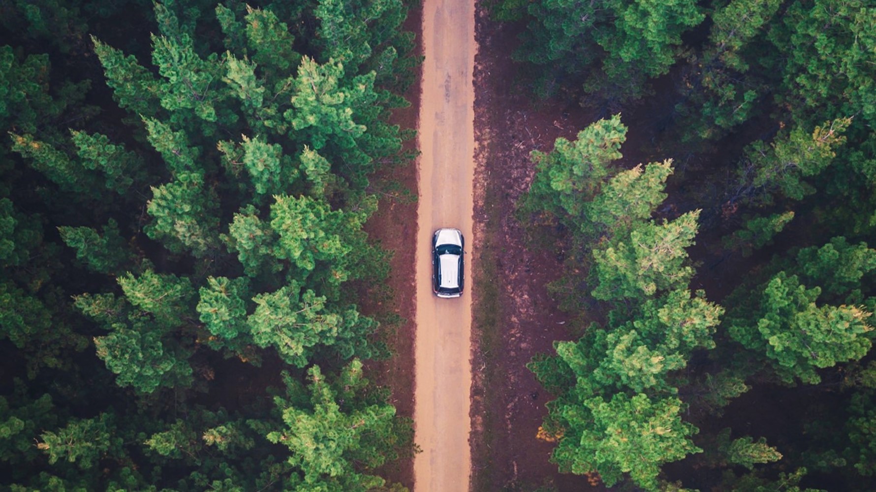 Fast change in a slow environment: 4 things you can do now to accelerate toward ‘net zero’