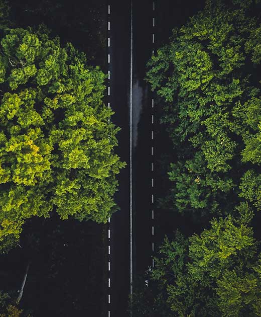 Gain credibility as a trusted sustainability advisor