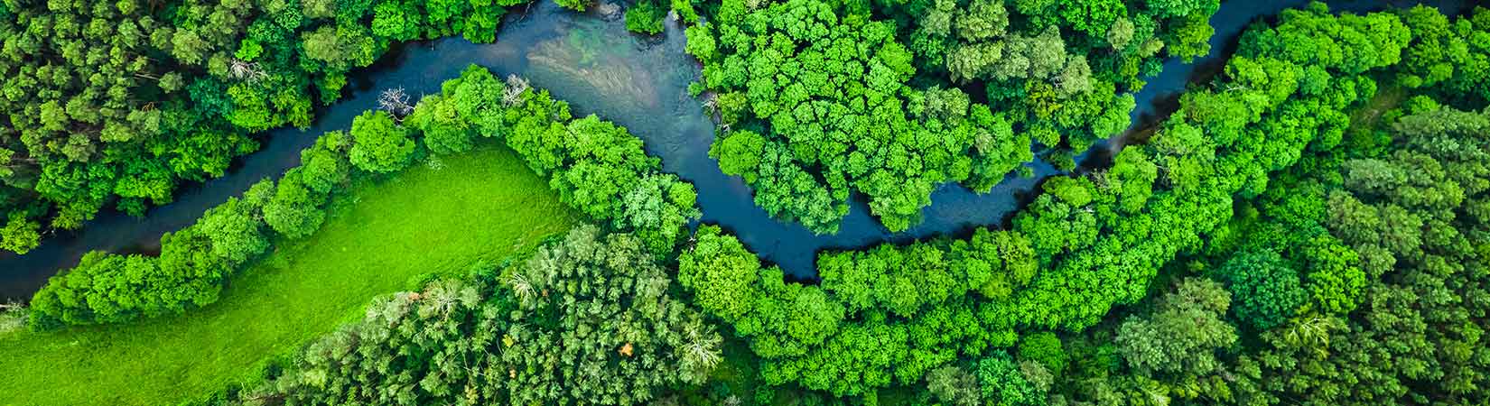 Sustainable events
