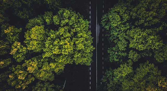 Support for your sustainability journey