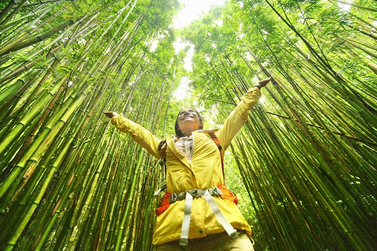 Get to know the conscious traveler