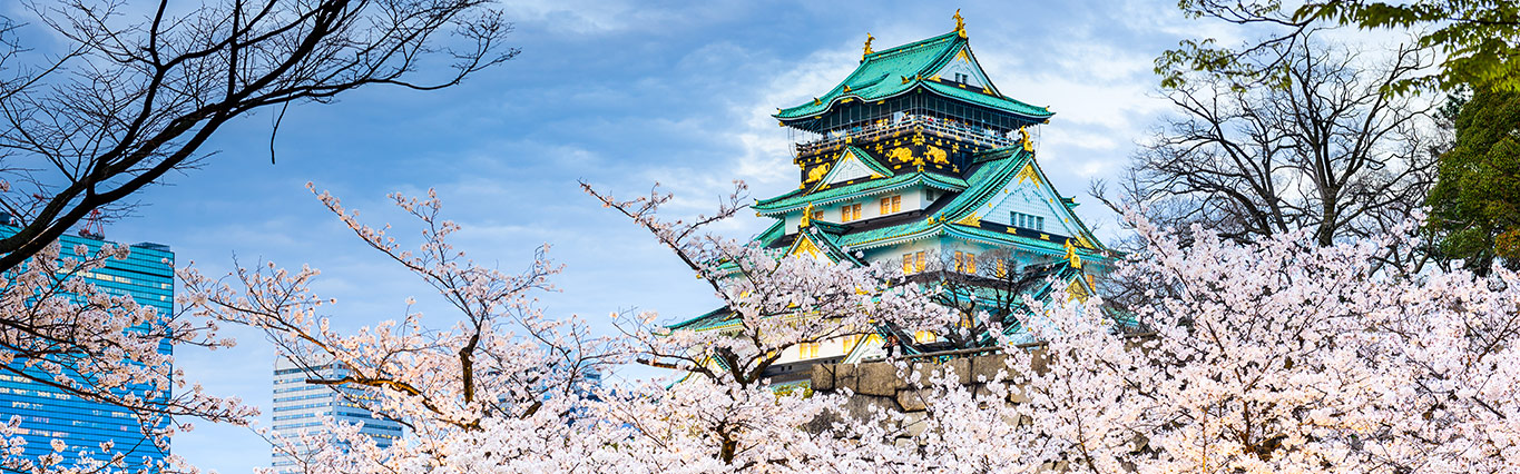 Osaka in full bloom, where business meets beauty