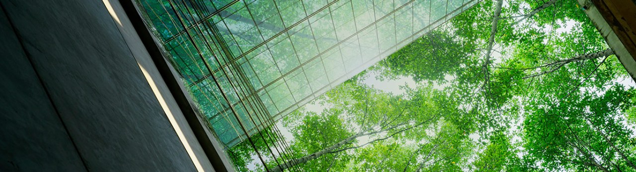 Successful Sustainability Measurement